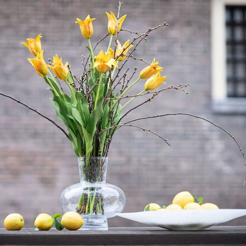 Modest Clear Bubbles Vase