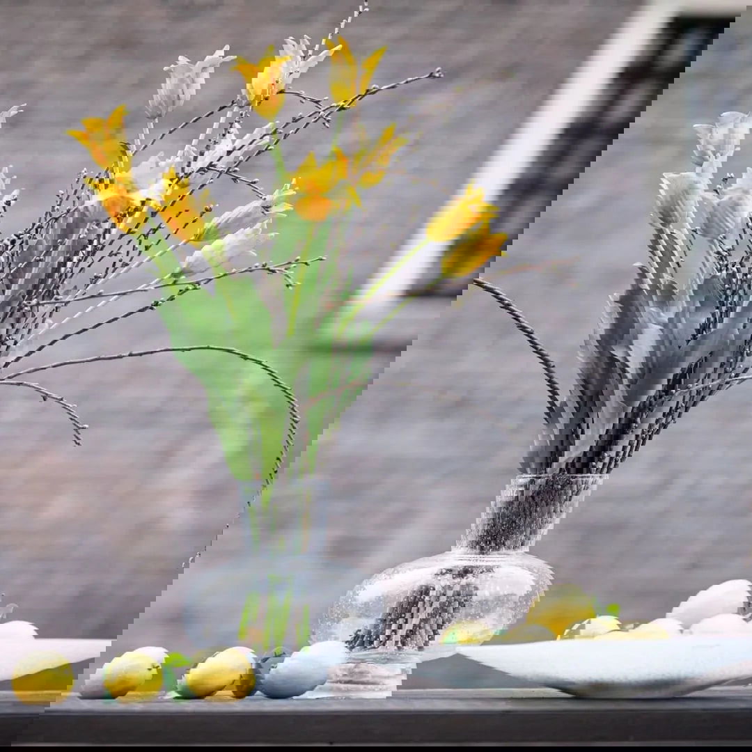 Modest Clear Bubbles Vase