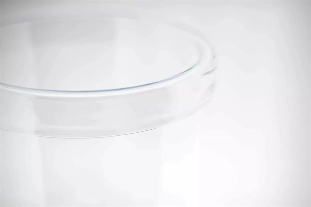 Hand Blown Hurricane Clear Glass Vase