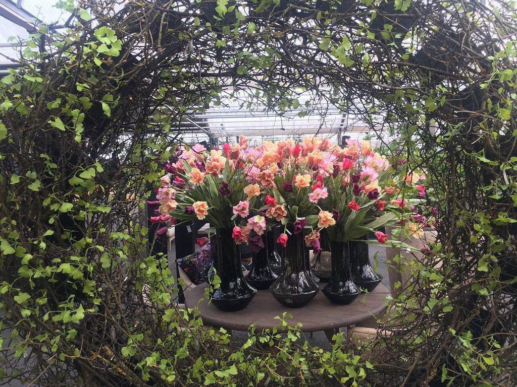 Marco Smoke Mouth Blown Glass Vase