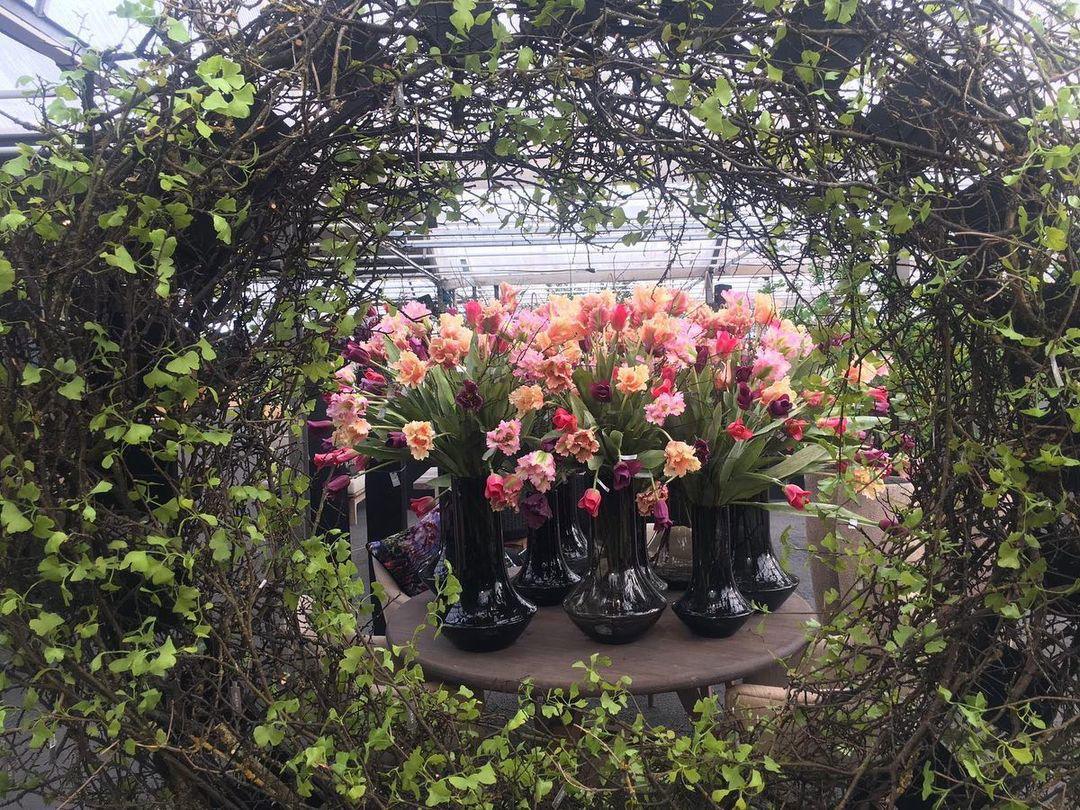 Marco Smoke Mouth Blown Glass Vase