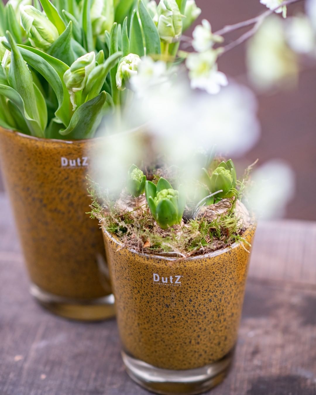 Conic Vase Thick with Bubbles