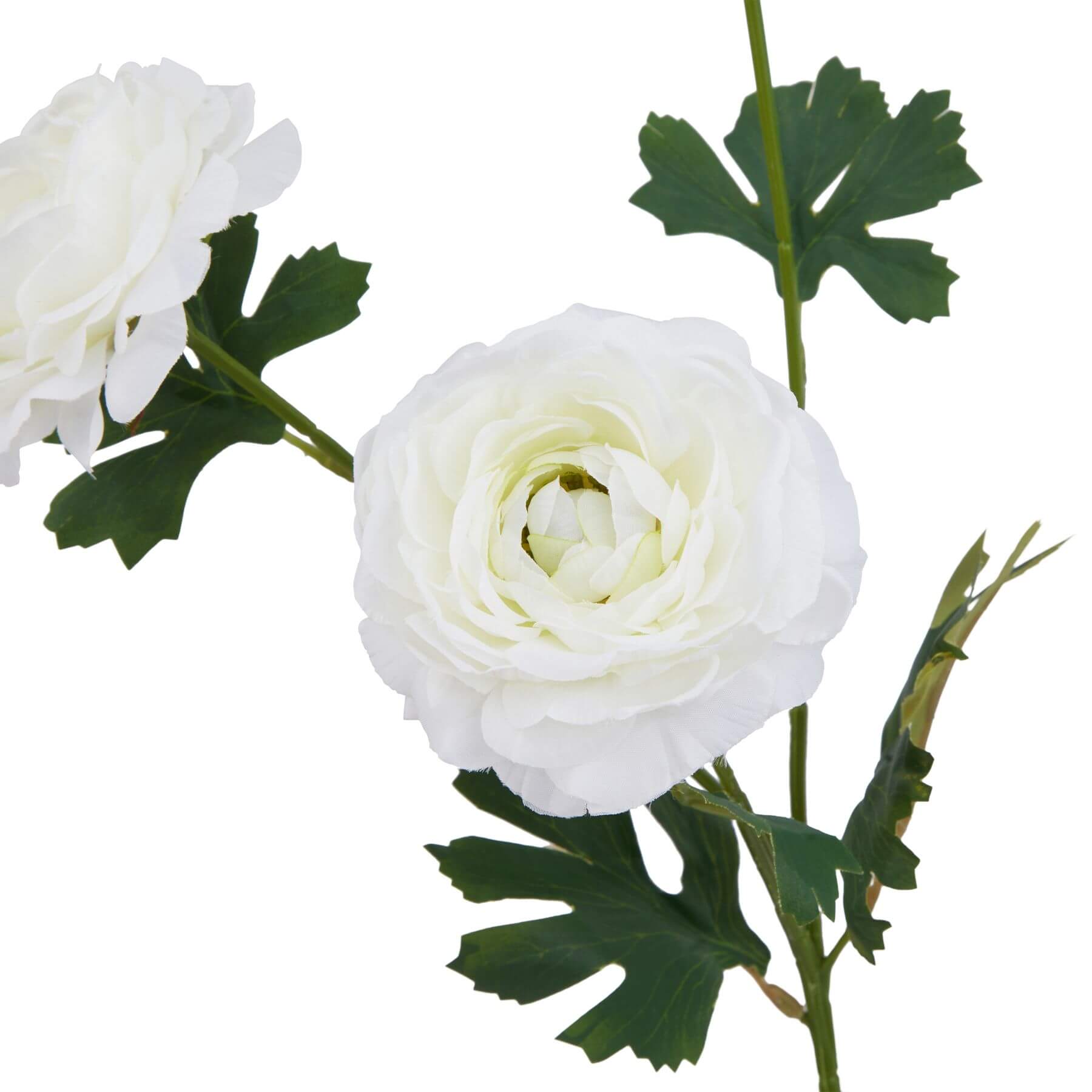White artificial ranunculus stem with realistic petals, perfect for home decor, 25 inches tall, high-quality plastic material. by sostter at brixbailey.com