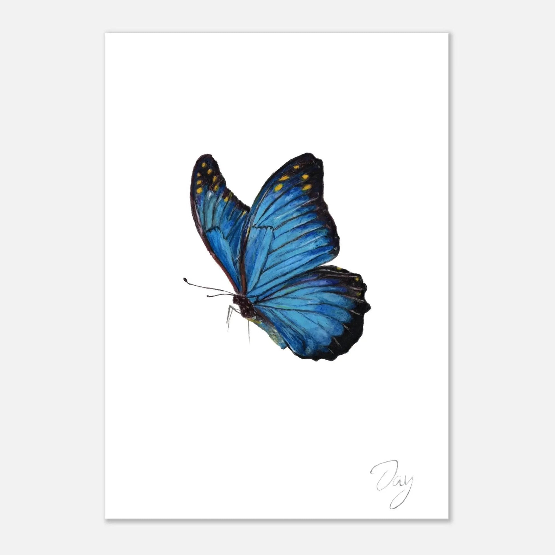 Blue Butterfly Signed Art Print A4