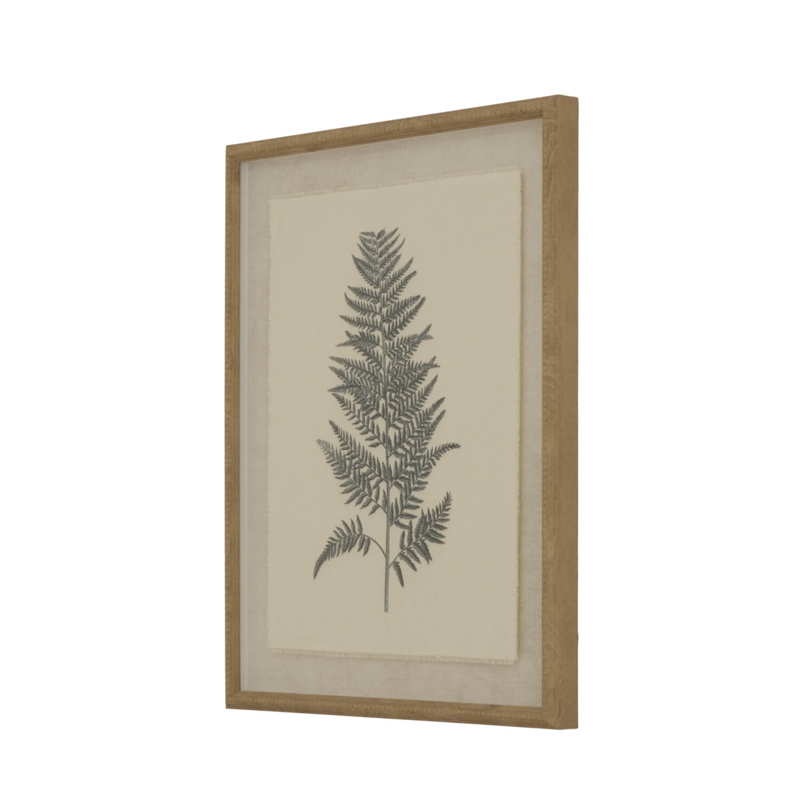 Botanical wall art with beech fern illustration on natural linen, framed in beaded white border, 50x40cm. by Sostter at brixbailey.com