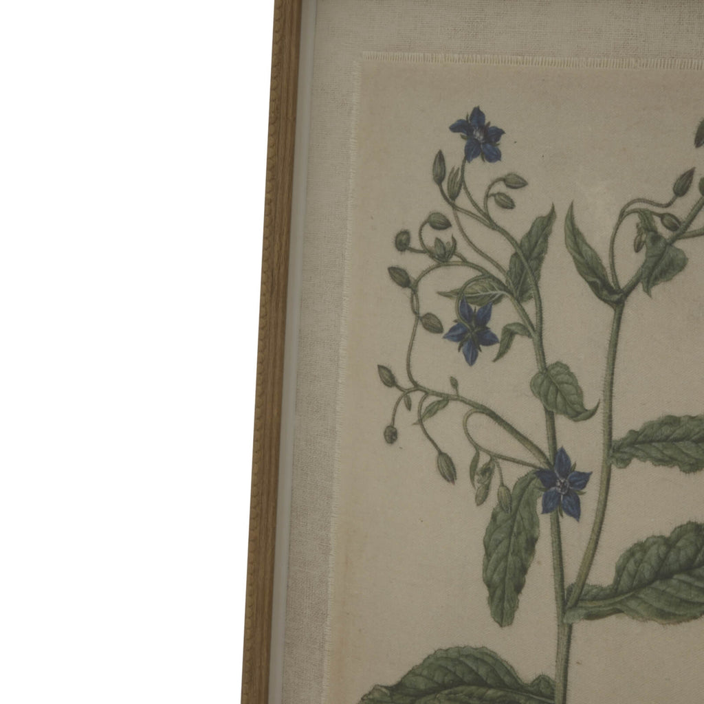 Handcrafted linen botanical artwork of borage flowers in neutral tones with beaded brown frame, 50x40cm by RoomLondon at brixbailey.com
