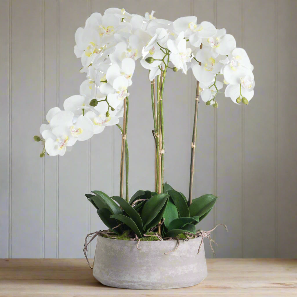 Lifelike white faux orchid in modern stone pot, perfect for home decor centerpiece or accent. by Sostter at brixbailey.com