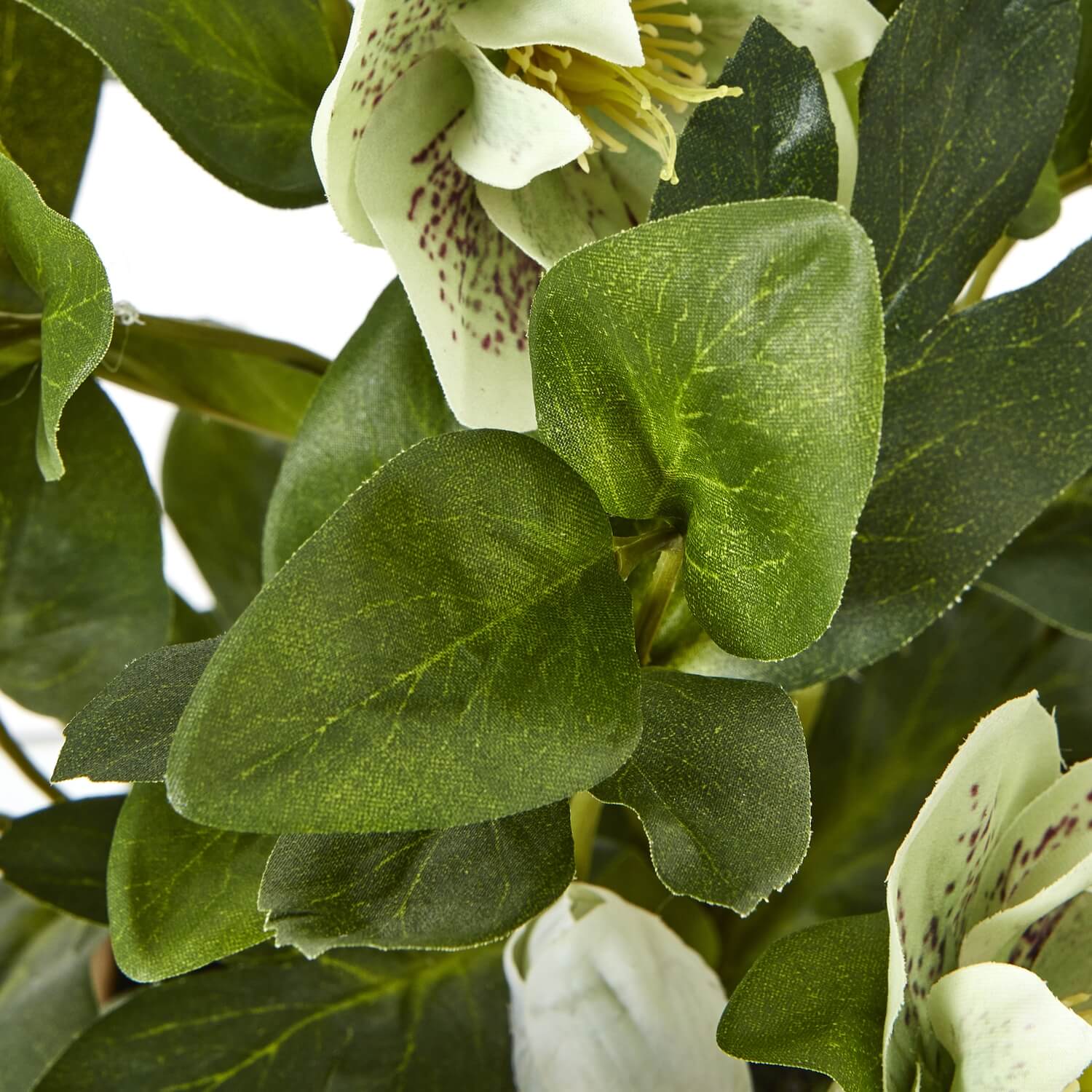 Lifelike faux Hellebore plant with vibrant green blooms in taupe ceramic pot, perfect for farmhouse or modern decor. by Sostter at brixbailey.com