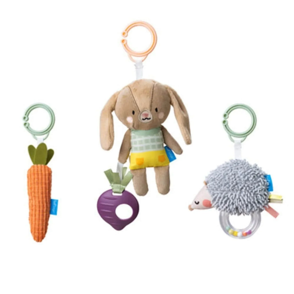 Activity Toys Kit for Babies