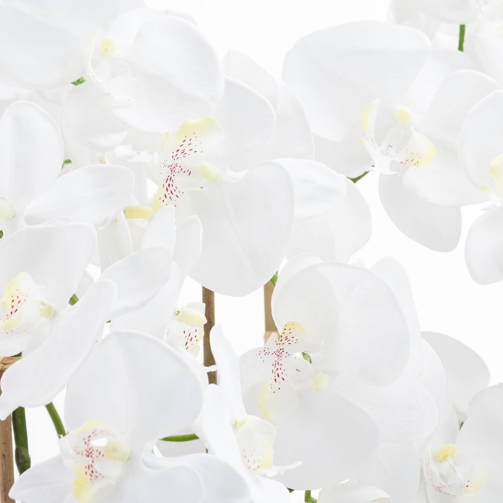 White and violet artificial orchid arrangement in glass pot, hyper-realistic plastic flowers with flexible leaves for home decor by Sostter at brixbailey.com