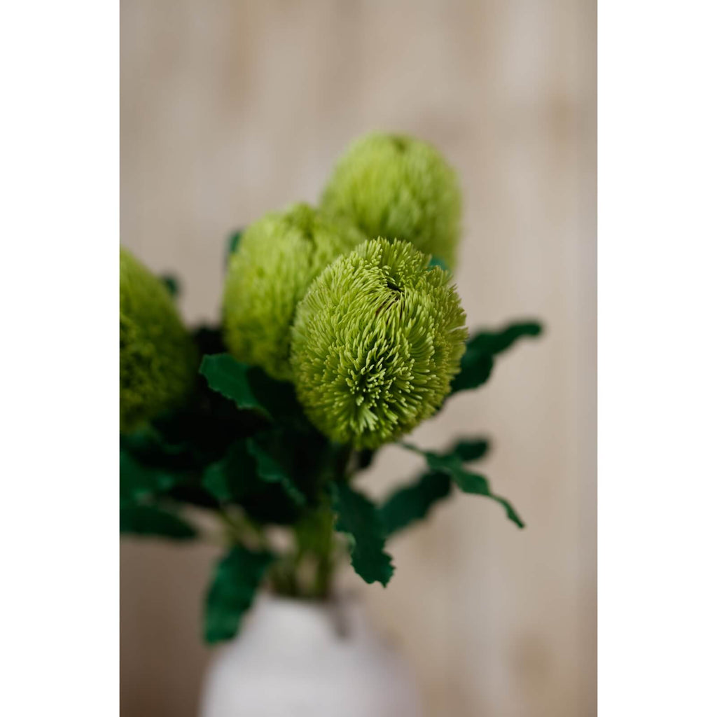 Lifelike green Banksia Serrata artificial stem, 65cm tall, with realistic textured leaves and cone-shaped blooms for home decor by sostter at brixbailey.com