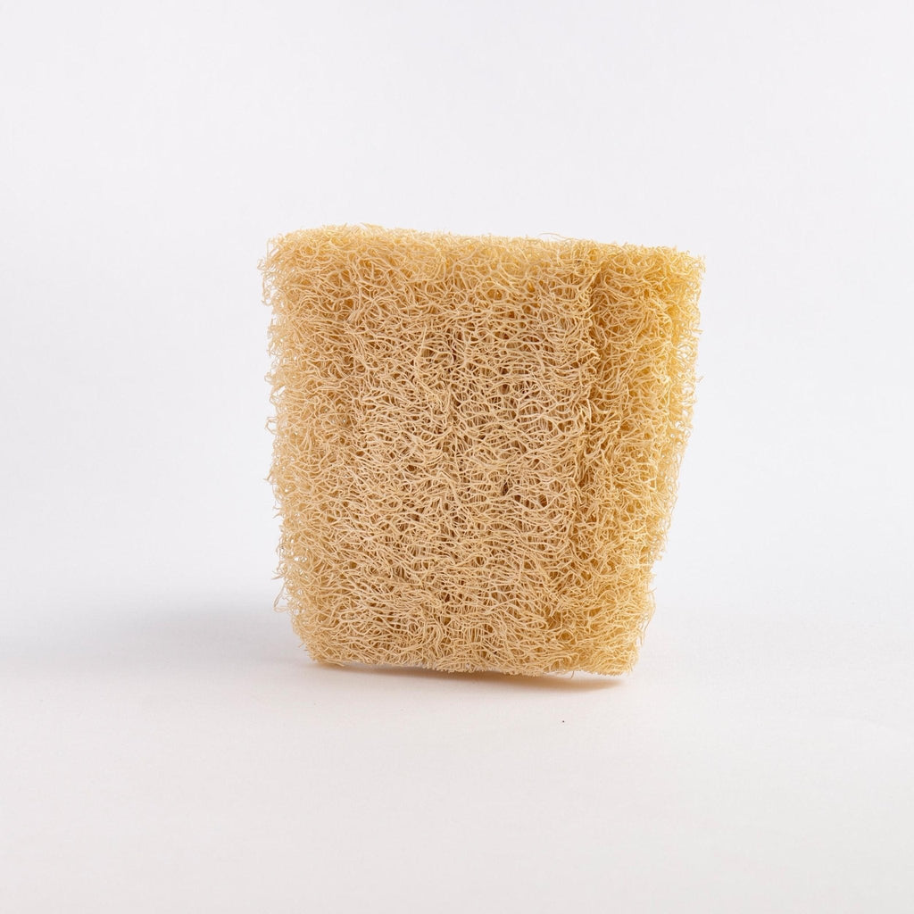 Natural Loofah Dishwashing Sponges Set of 3