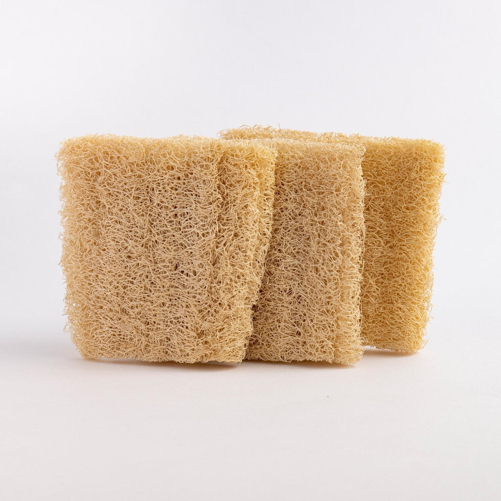 Natural Loofah Dishwashing Sponges Set of 3
