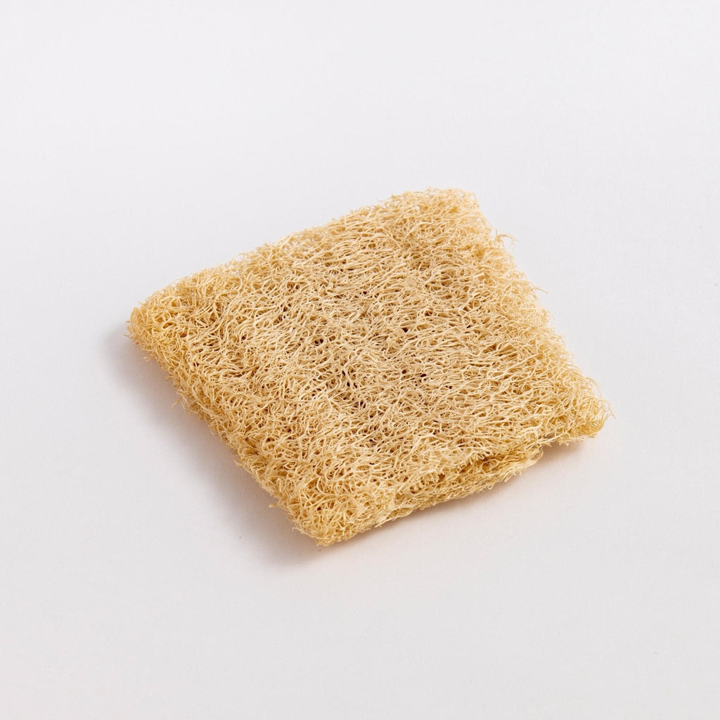 Natural Loofah Dishwashing Sponges Set of 3