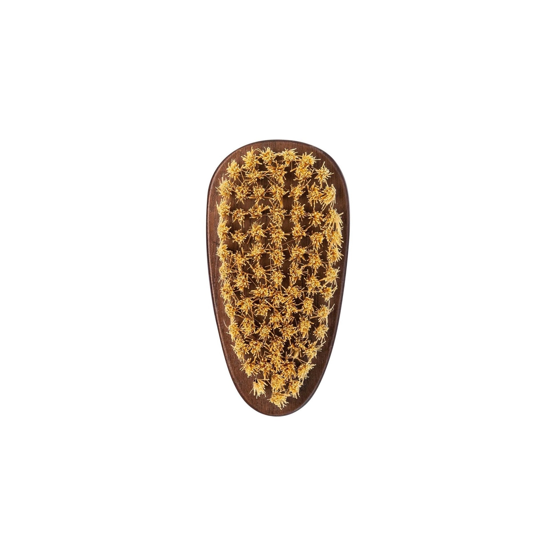 Natural Sisal Nail Brush in Beech, Walnut or Olive Wood