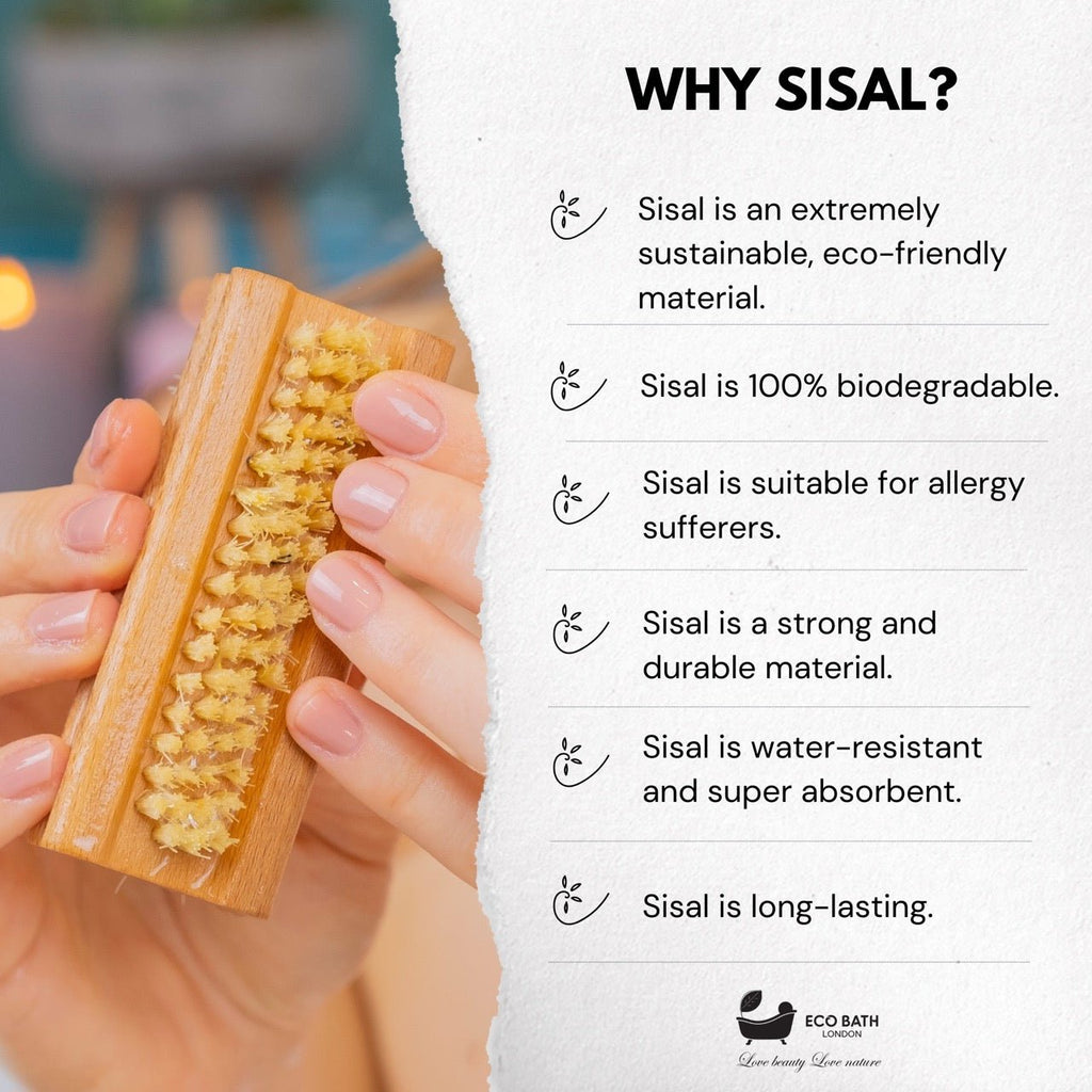 Natural Sisal Nail Brush in Beech, Walnut or Olive Wood