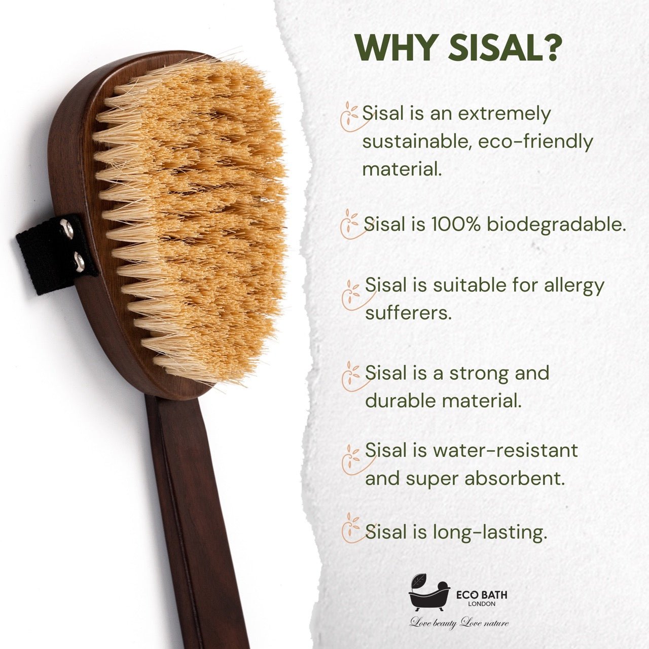 Natural Sisal Walnut Wood Body Brush for Dry Brushing