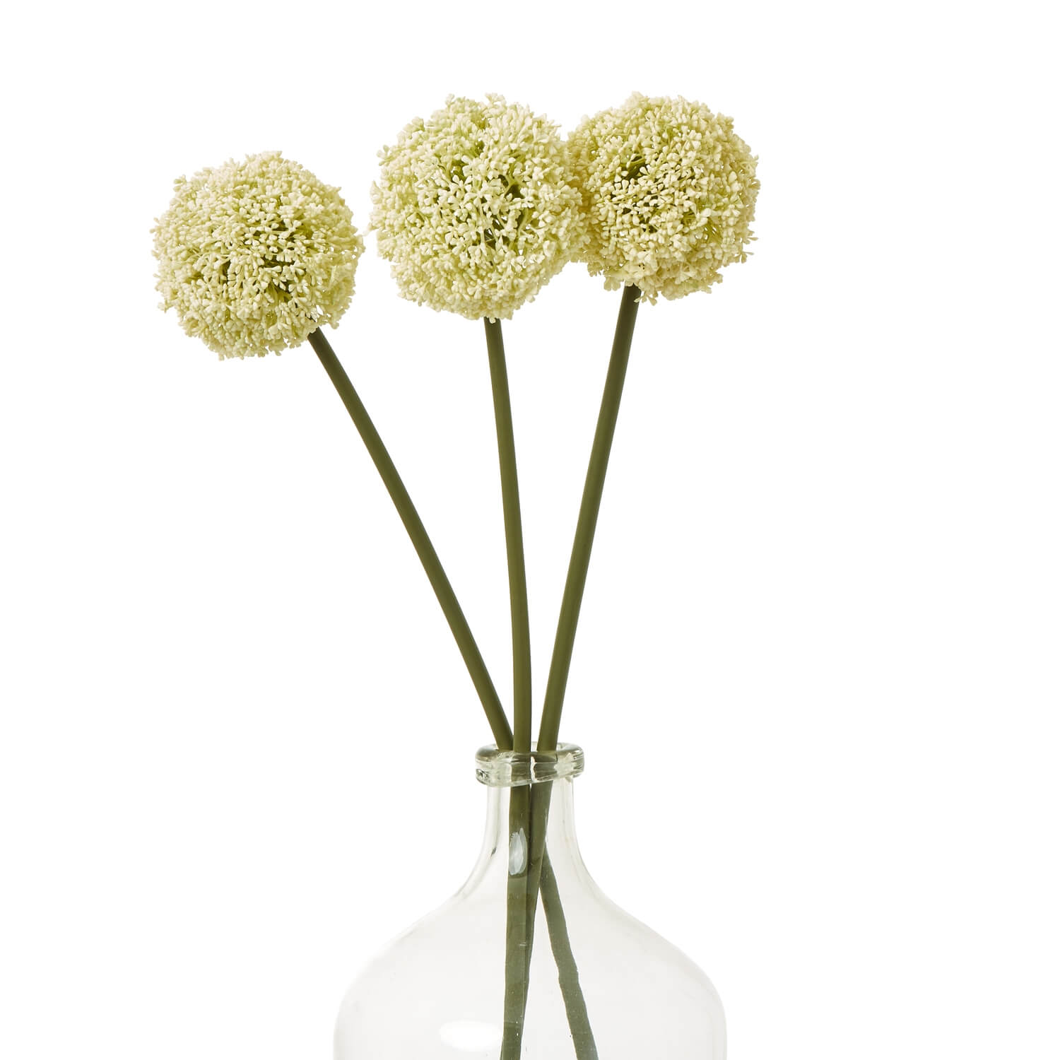 Cream Allium Stem with spherical blooms, 75cm tall, lifelike plastic floral accent for modern or classic decor by Sostter at brixbailey.com