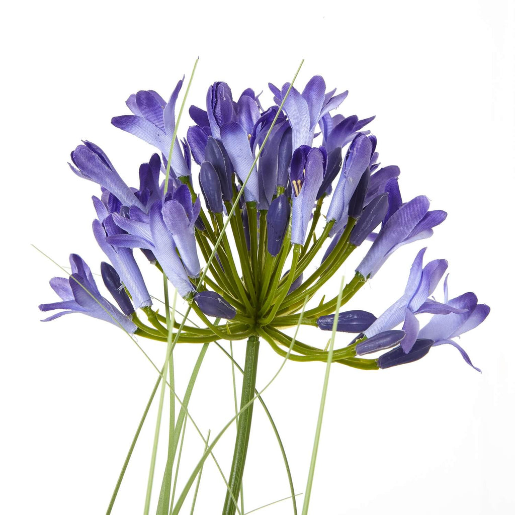 Lifelike artificial agapanthus arrangement with soft blue blooms and green stems in black pot, 90cm tall by sostter at brixbailey.com