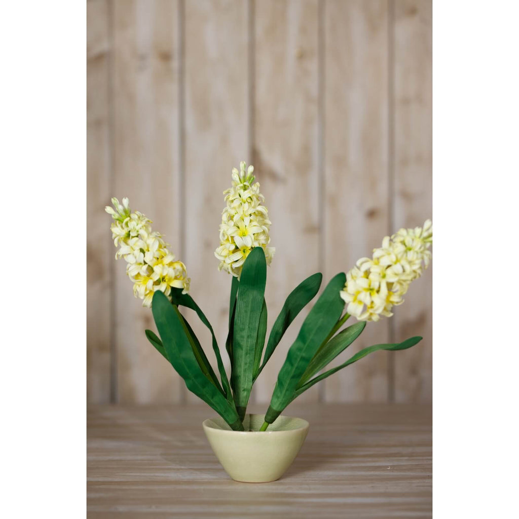 a sophisticated golden yellow hyacinth stem in an elegant vase, perfect for modern interiors