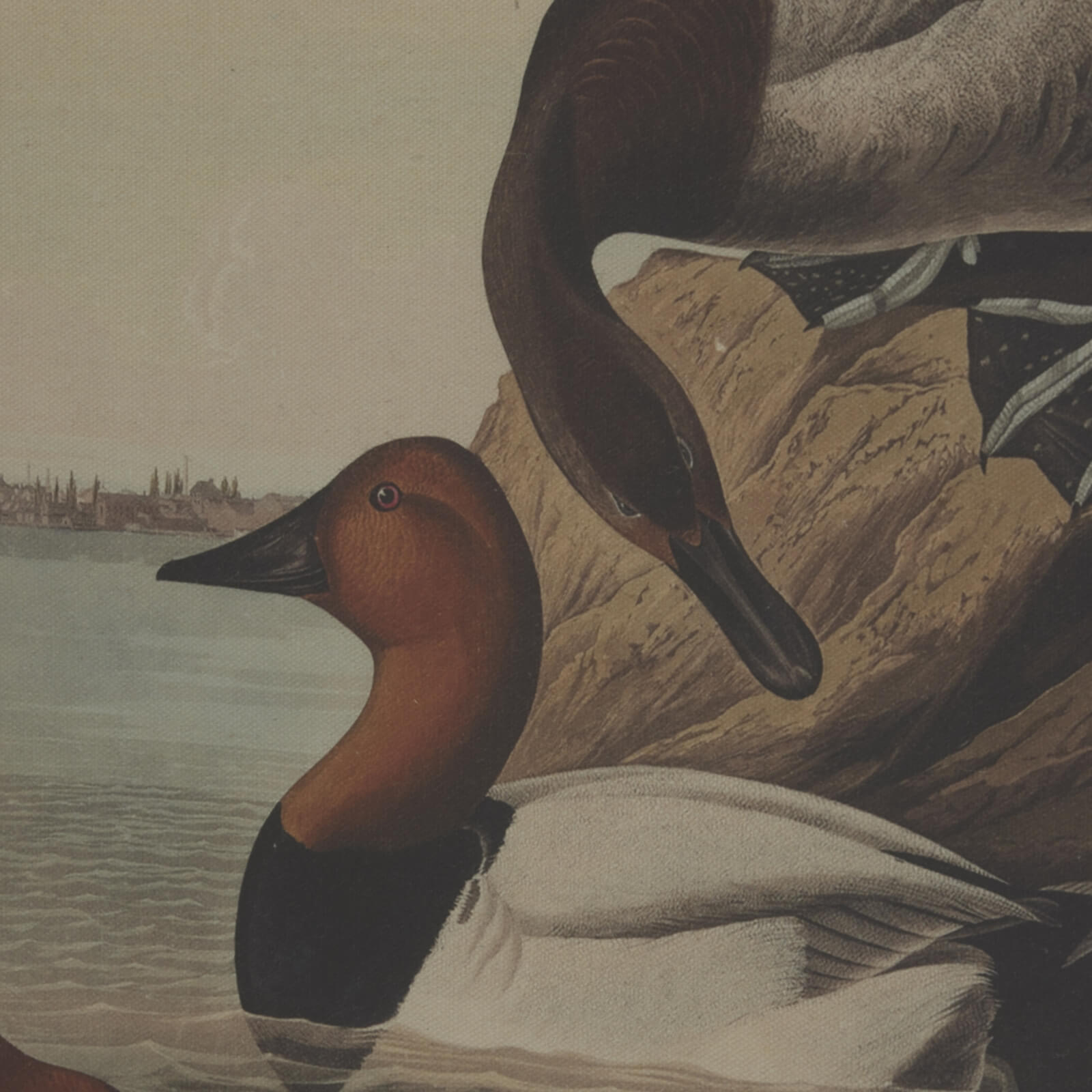 Pochards botanical linen wall art with beaded frame in earthy tones, 45x62cm, Flora & Fauna series by sostter at brixbailey.com