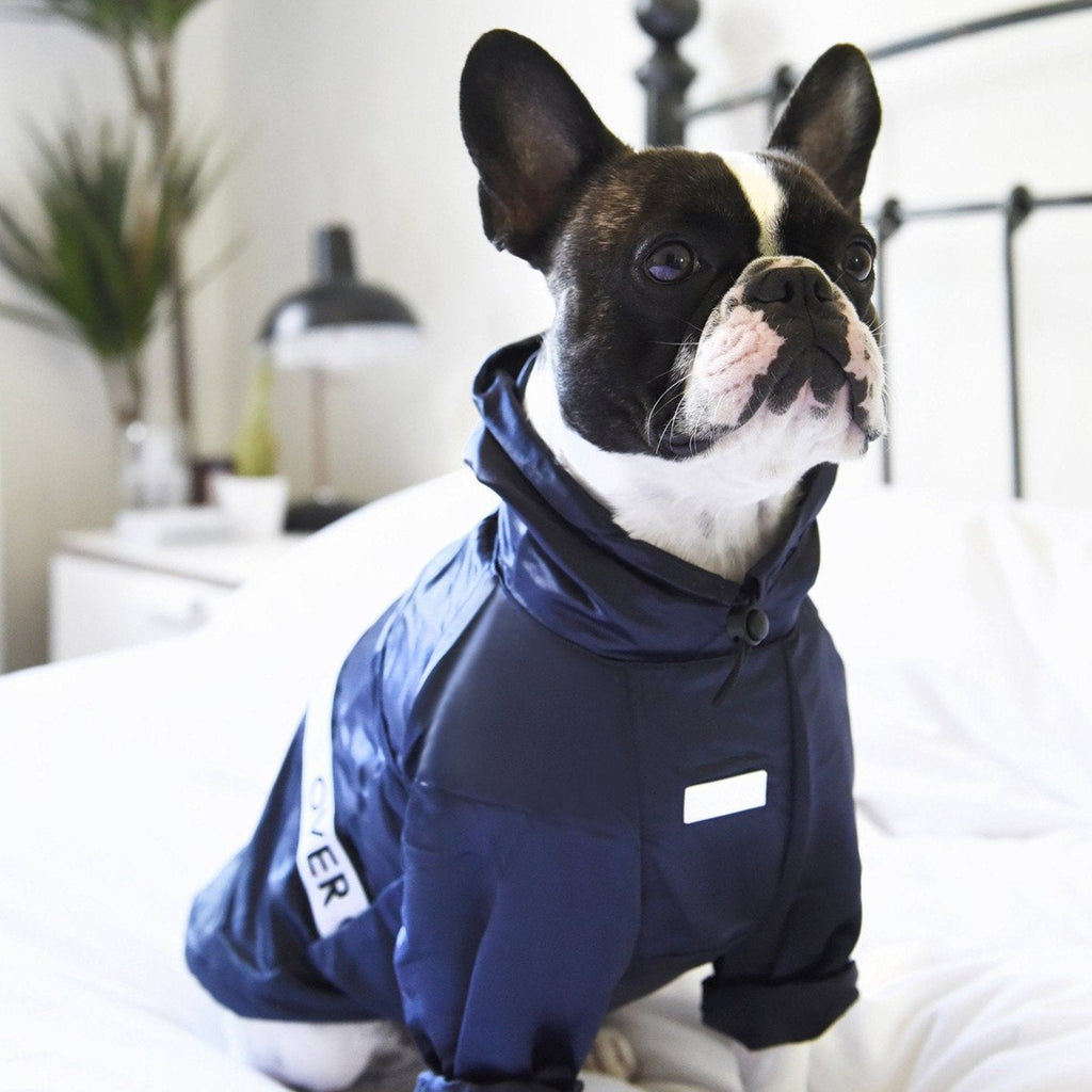 Ribbon Thin Glossy Water Resistant Coat