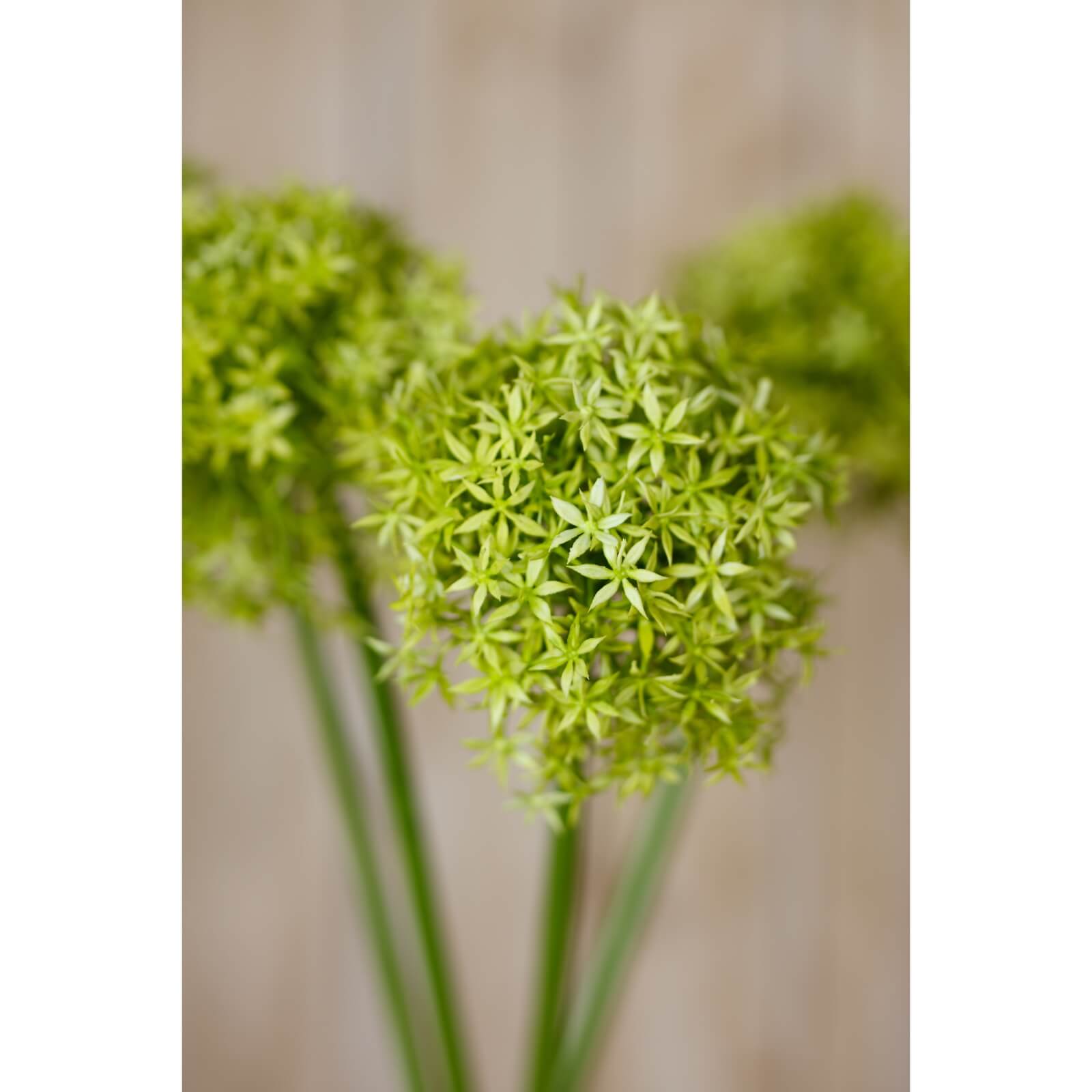Lifelike green allium stem with spherical bloom, 90cm faux botanical for home decor, rich plastic texture by Sostter at brixbailey.com