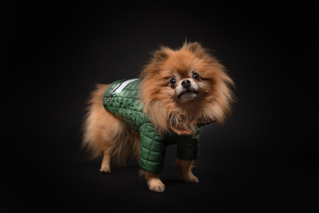 You Are Not Alone Puffer Jacket