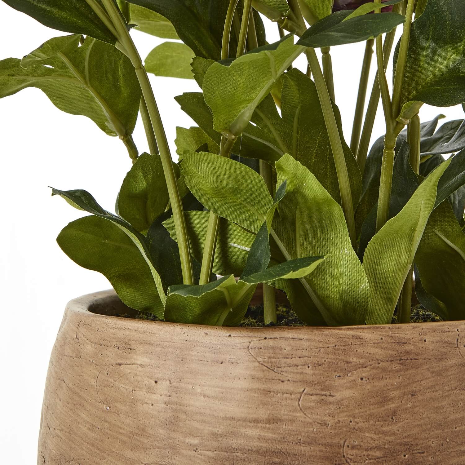 Lifelike plum faux hellebore in taupe ceramic pot, ultra-realistic blooms and foliage for home decor. by sostter at brixbailey.com