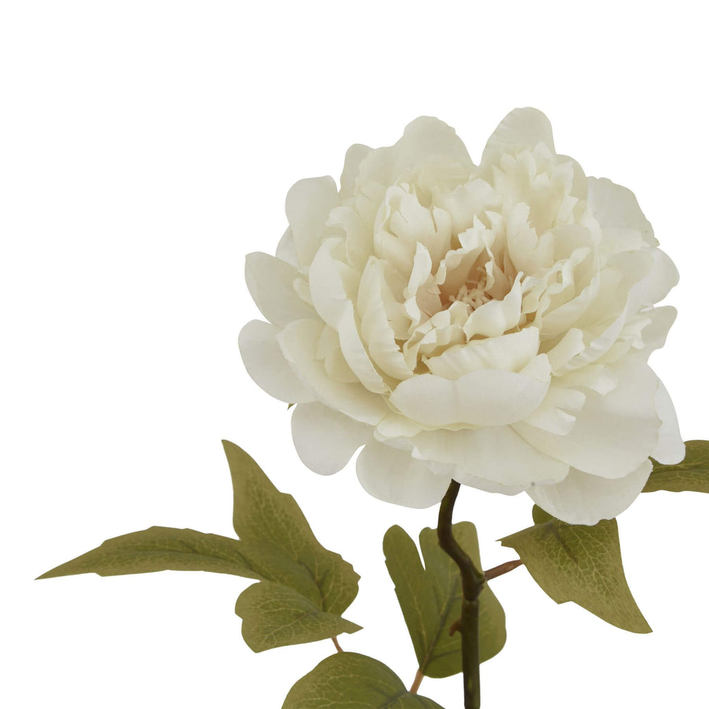 Lifelike white faux peony stem with cream petals and green leaves, perfect for floral arrangements and home decor. by Sostter at brixbailey.com