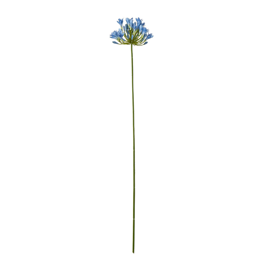 Blue agapanthus artificial stem with vibrant petals, lifelike botanical detail, 75cm tall home decor accent by Sostter at brixbailey.com
