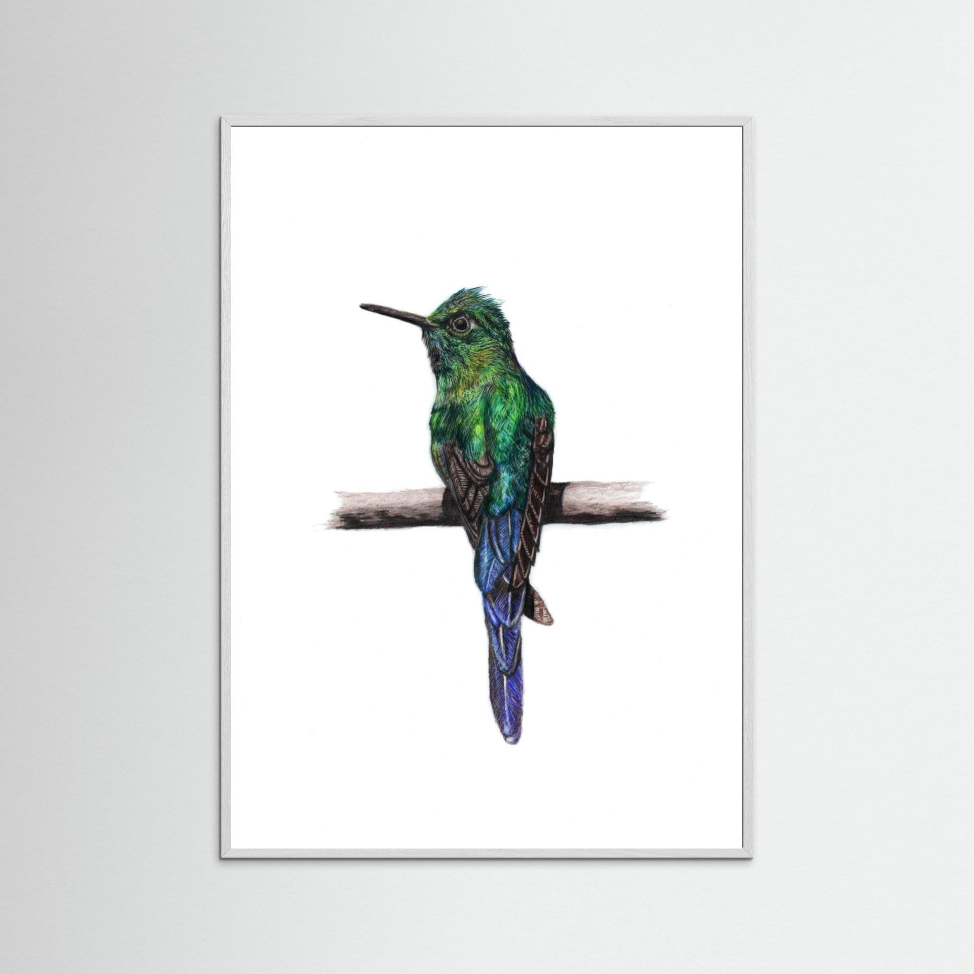 Hummingbird Art Print Wildlife Wall Art for Nature Lovers