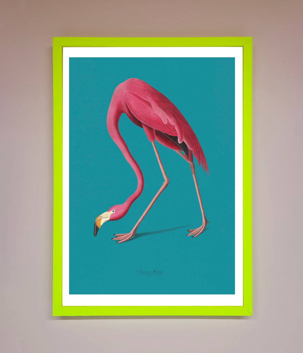 Blue Flamingo Walks Framed Print