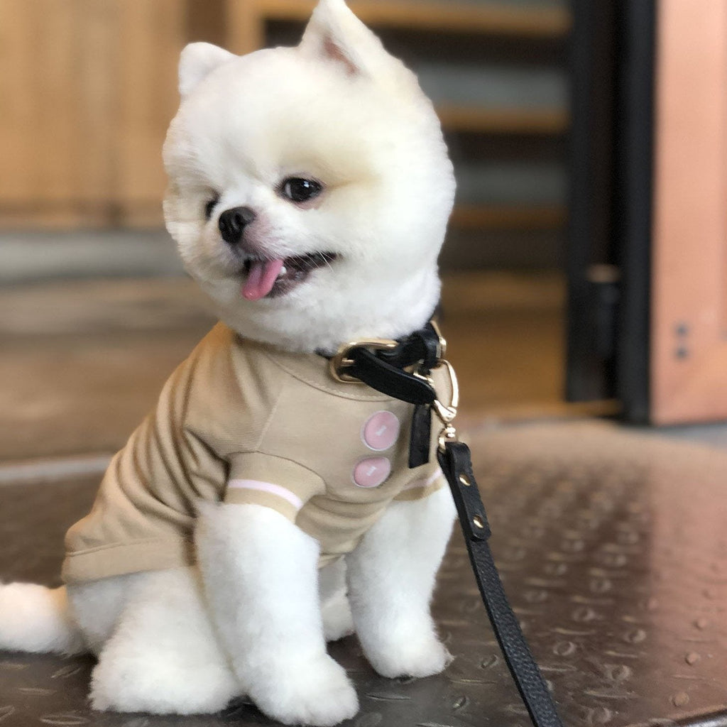 Apricot T-Shirt with Bowls Pattern