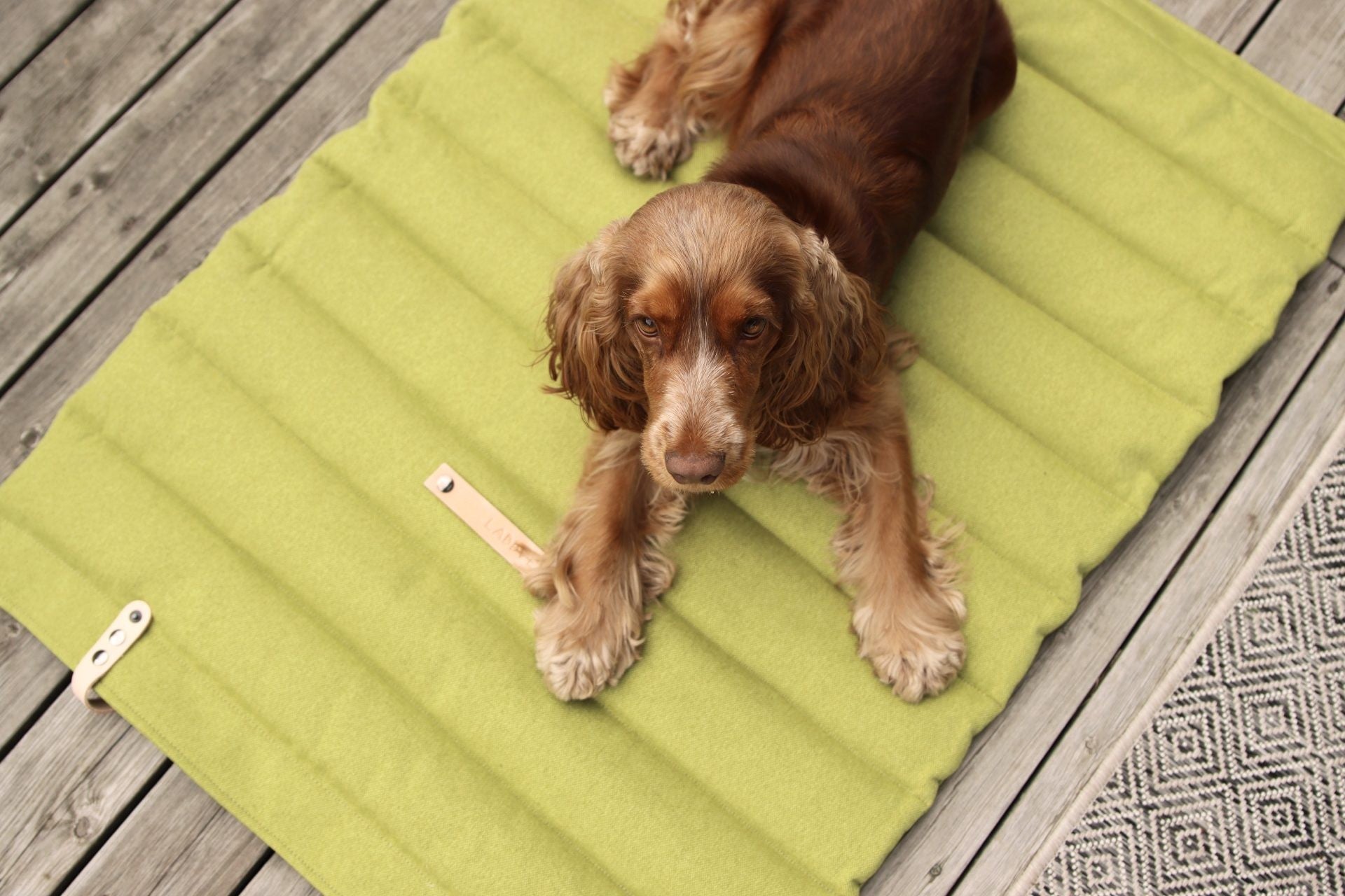 bold shot of a green quilted dog travel mat with a natural leather strap