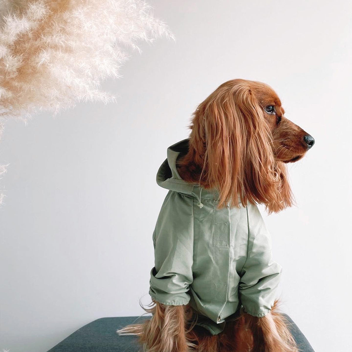 Waterproof Dog Coat with Hood and Four Leg Fit