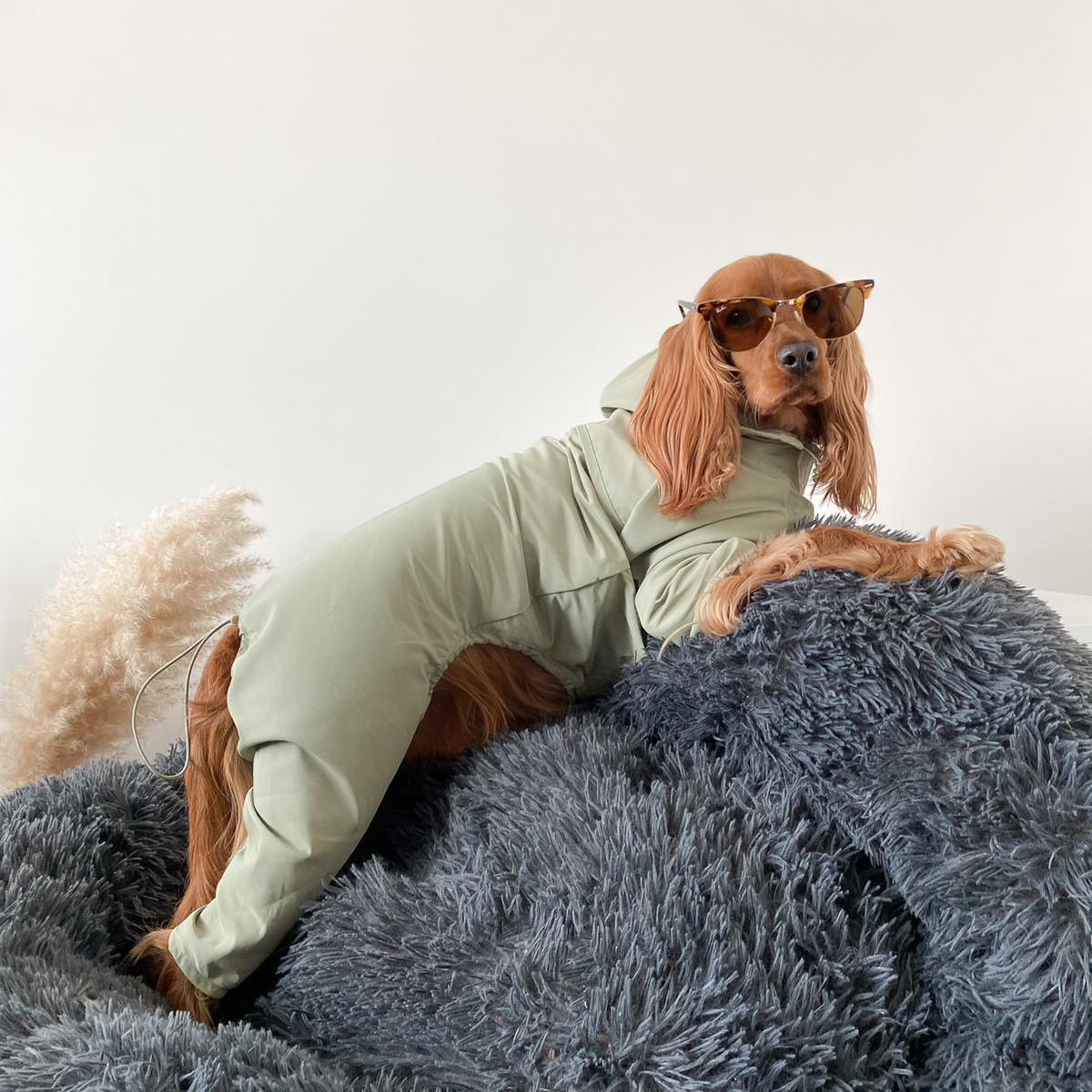 Waterproof Dog Coat with Hood and Four Leg Fit