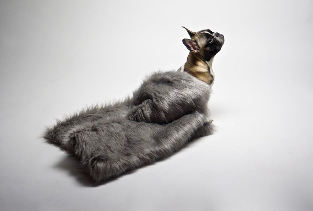 silver förä blanket draped softly over a sofa, showcasing its plush fox-fur texture and elegant leather tie
