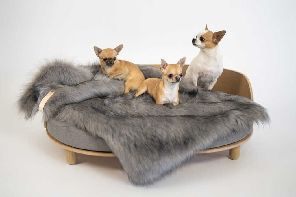 bold silver föra pet blanket with a chic leather belt on a dark background