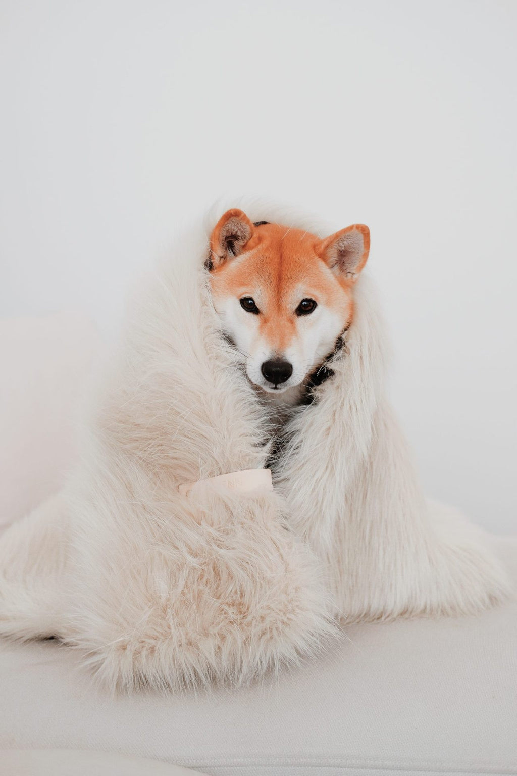 bold close-up of the föra blanket's white faux fox fur and full grain leather belt