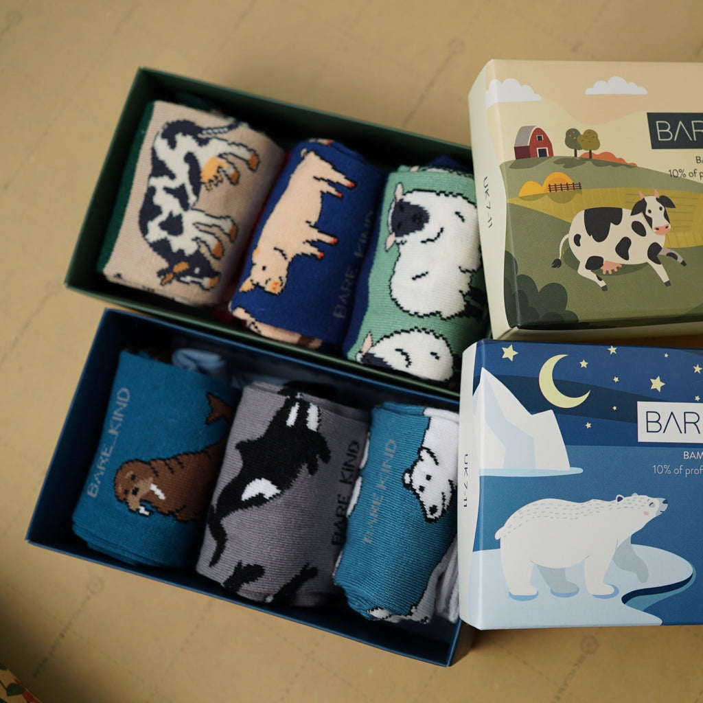 Gift Box Bundle of 2 Bamboo Animal Socks