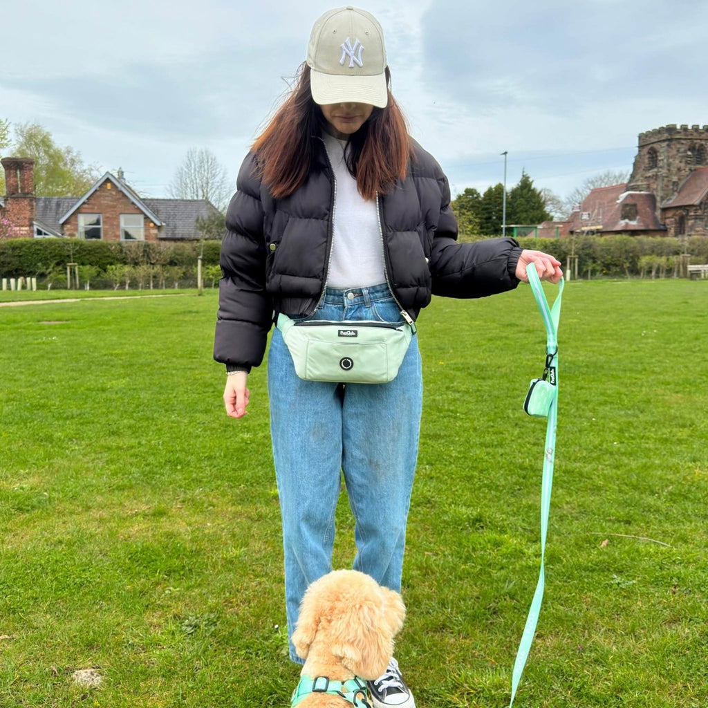 Sage Green Dog Walking Bum Bag