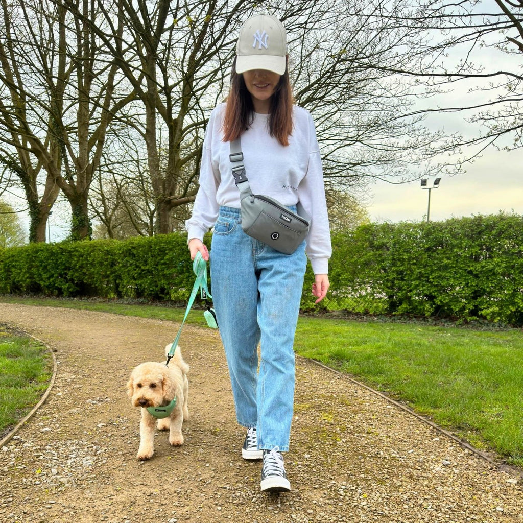 Dog Walking Bum Bag in Grey