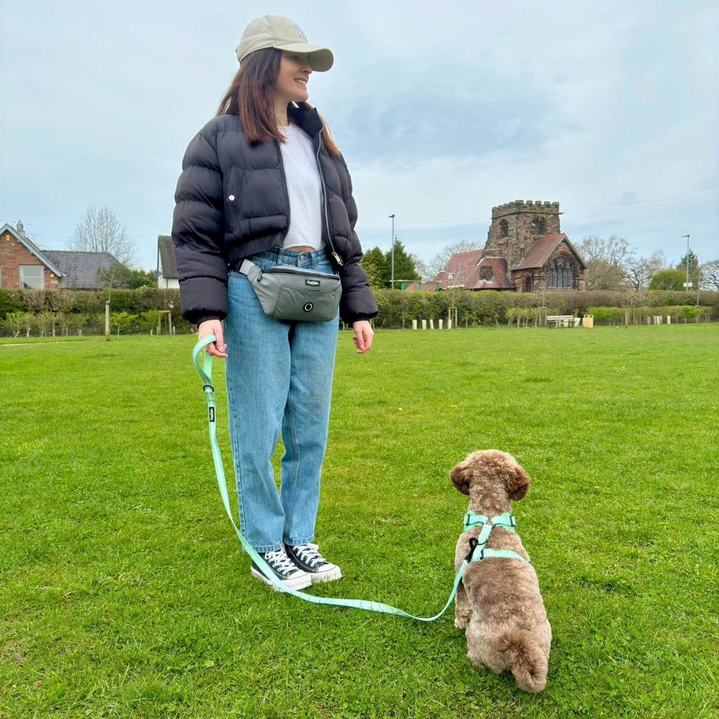 Dog Walking Bum Bag in Grey