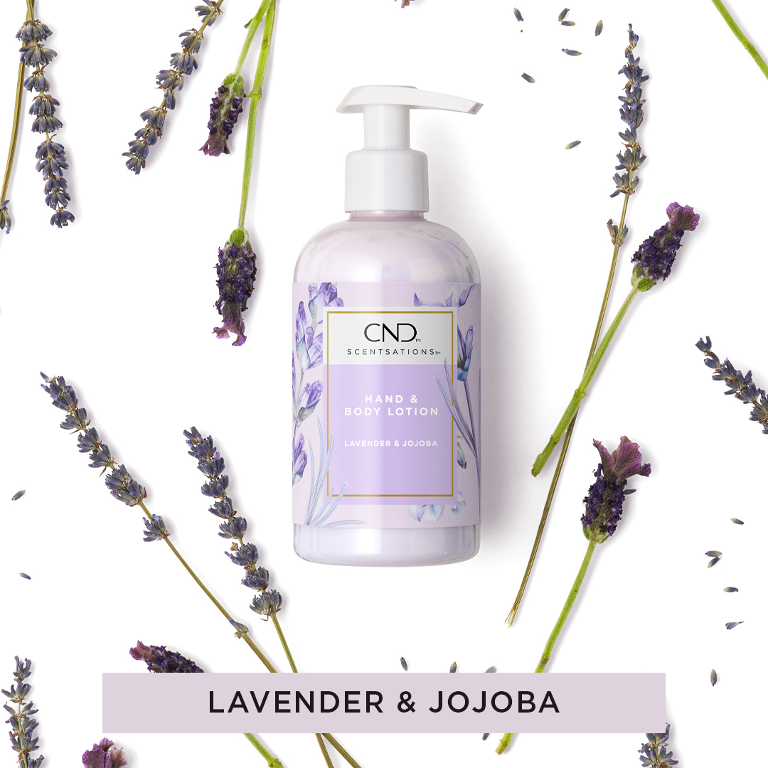Lavender and Jojoba Hand and Body Lotion 245ml