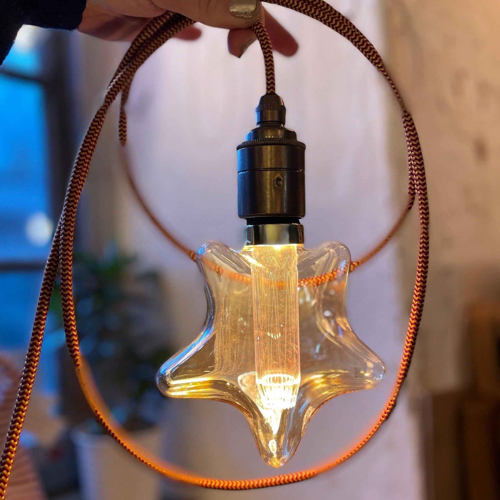 Gryffindor Plug in Pendant Cable Set