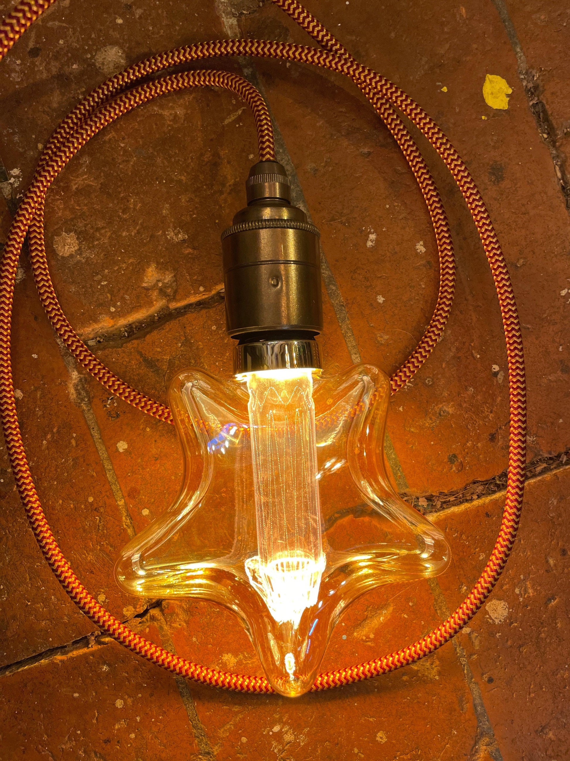 Gryffindor Plug in Pendant Cable Set