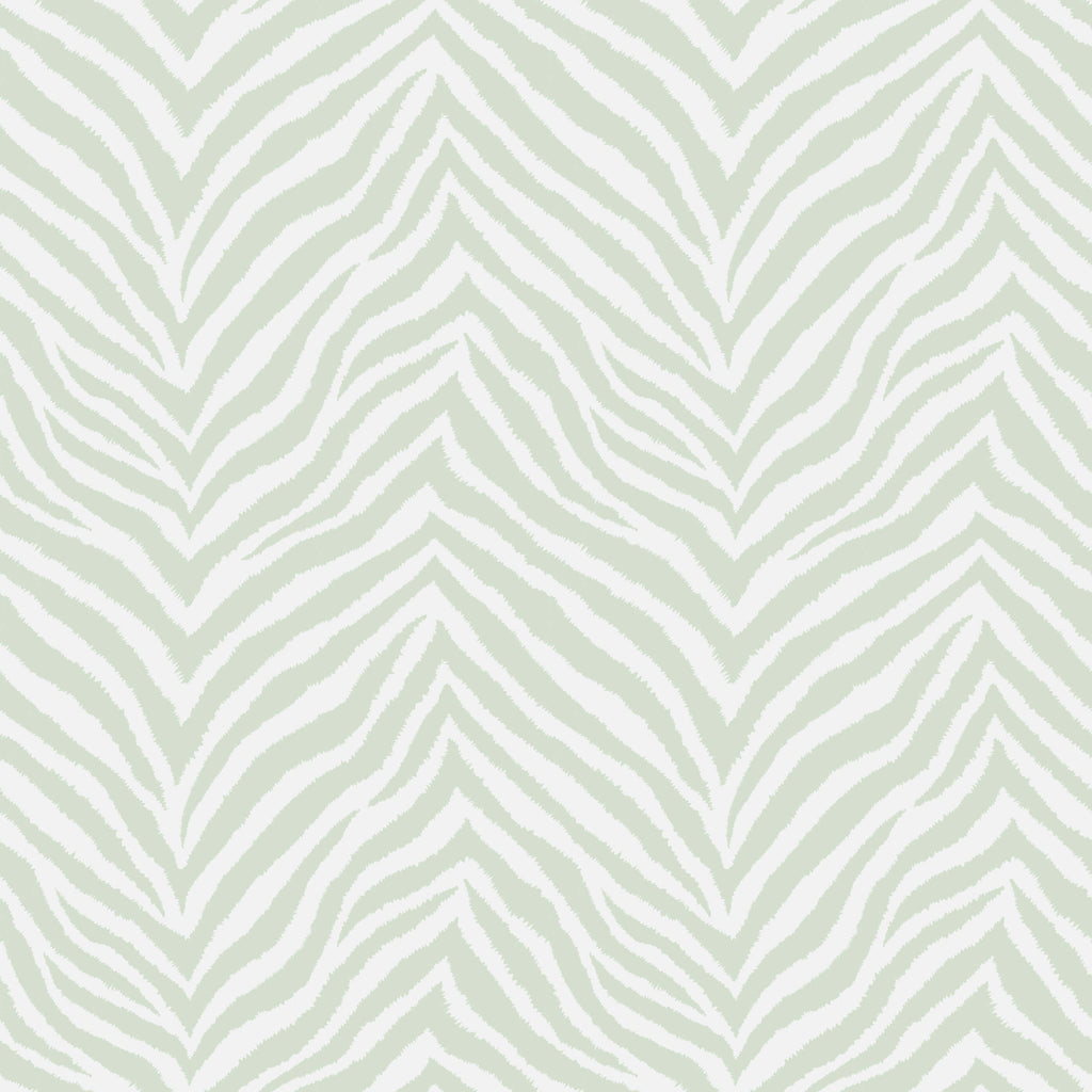 Zebra Print Wallpaper
