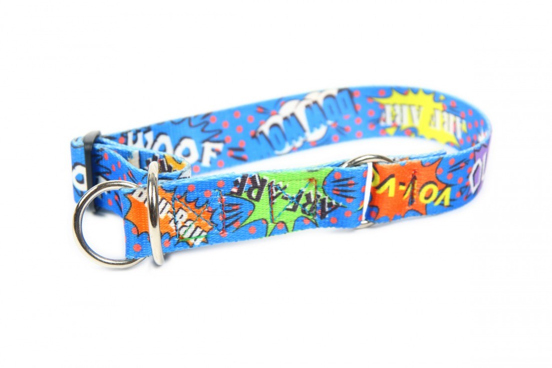 playful blue graffiti dog collar on a happy golden retriever in a sunny park