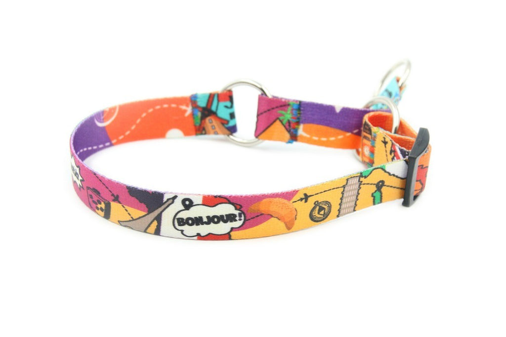 elegant half choke collar for large dogs with polished nickel hardware on a dark, refined background